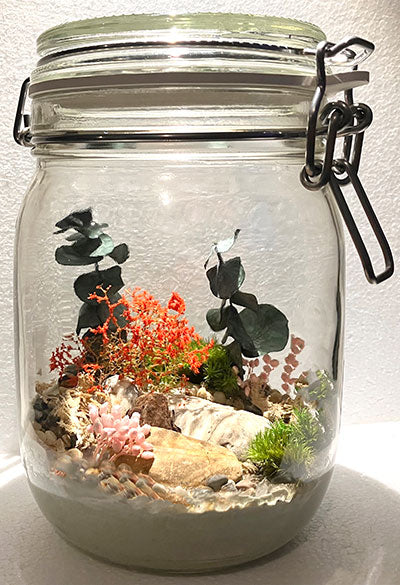 Med Jar Terranium